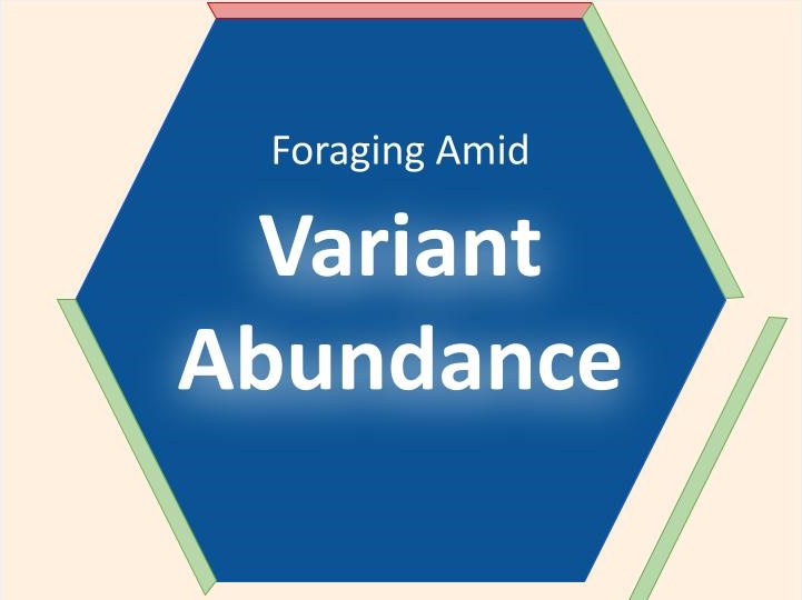 Foraging among an Overabundance of Similar Variants